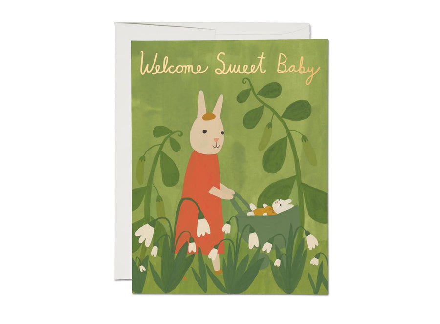 Sweet Bunny Baby Card Greeting & Note Cards Red Cap Cards 